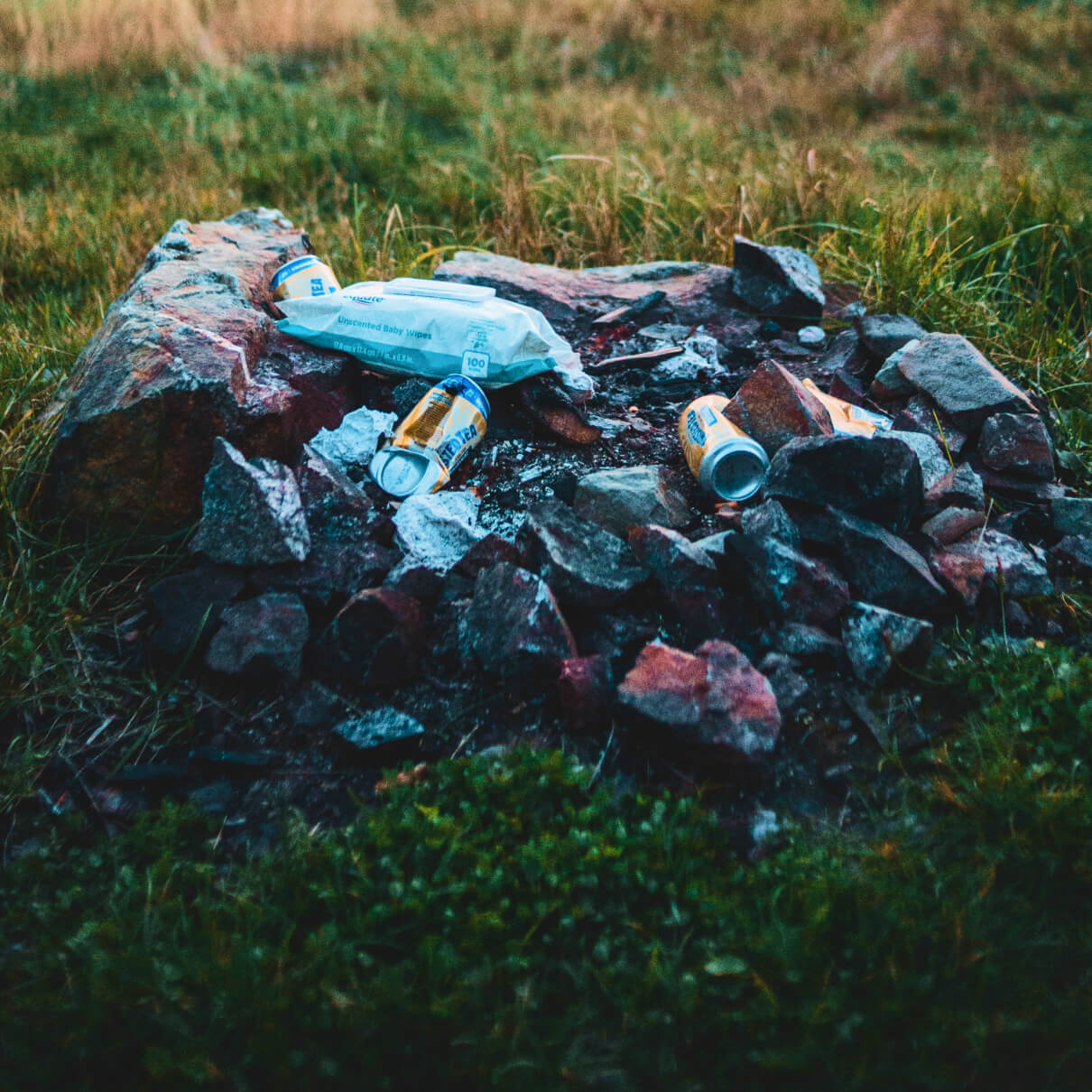 Current lifestyle & travel patterns is impacting natural resources.