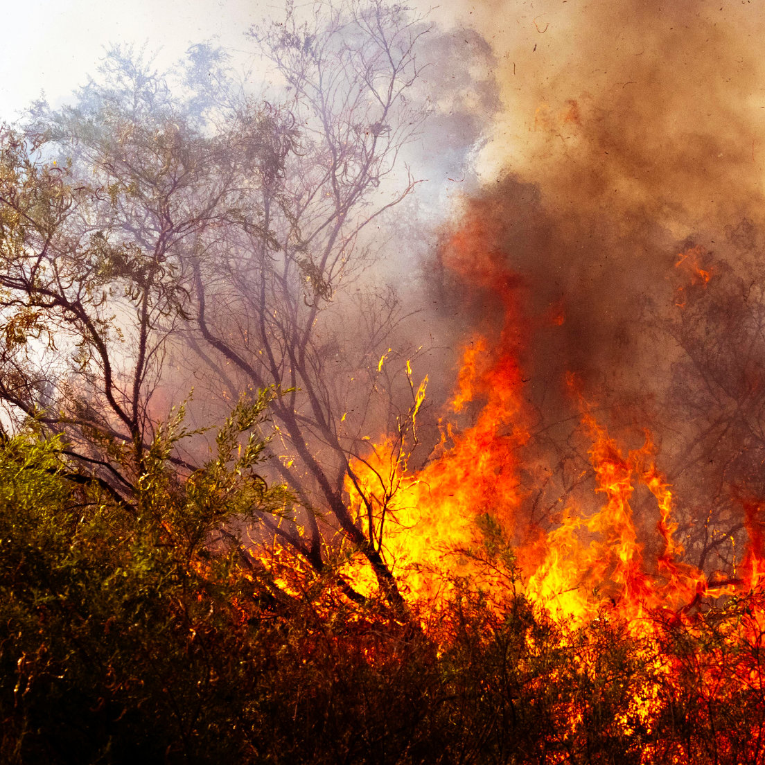 The last decade was the <span class="text-orange-50">hottest on record</span> globally