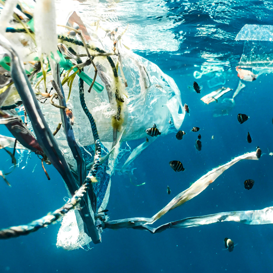Over <span class="text-orange-50">8 million tonnes of plastic</span> enter our oceans every year