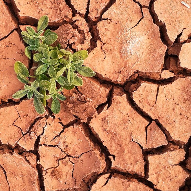 Prevent Soil Degradation